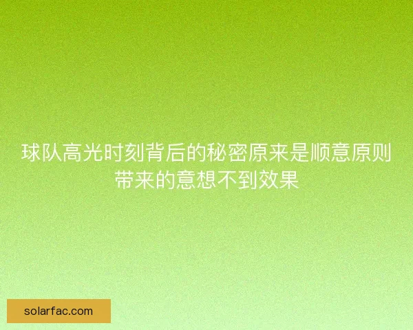 球队高光时刻背后的秘密原来是顺意原则带来的意想不到效果