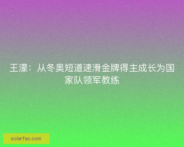 王濛：从冬奥短道速滑金牌得主成长为国家队领军教练